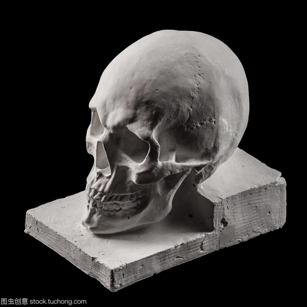 形与影的对白 黑色背景上的石膏解剖雕塑